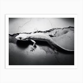 Gecko Black and White Art Print