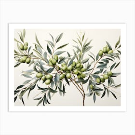 Olive Branch Art Print