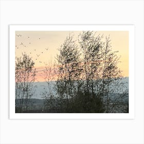 Birds In Flight 1 Art Print