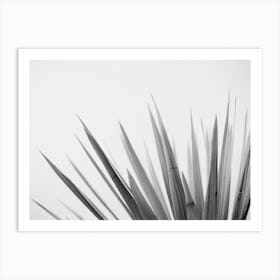 Pointy Leaves Art Print