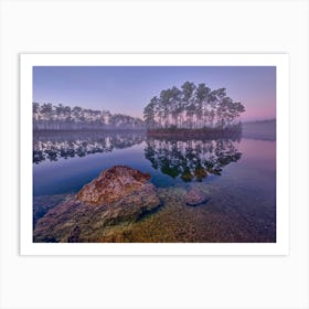 Sunrise At The Lake Art Print