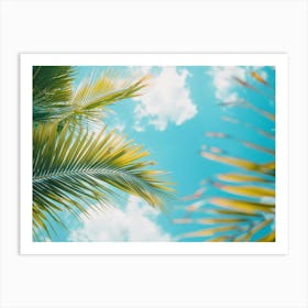 Palm Trees Against A Blue Sky Art Print