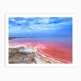 Pink Salt Lake in Walvis Bay, Namibia (Africa Series) Art Print