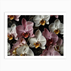 Orchids 2 Art Print