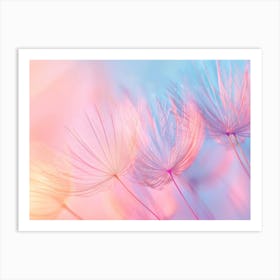 Dandelion Background Art Print