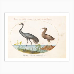 Flying And Amphibious Animals, Joris Hoefnagel (6) Art Print