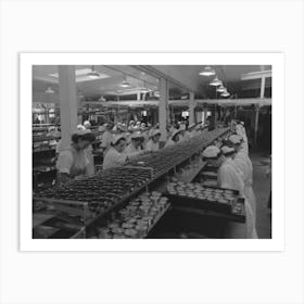 Untitled Photo, Possibly Related To Packing Tuna Into Cans, Columbia River Packing Association, Astoria, Oregon Art Print
