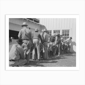 Lineup Of Ranchmen With Their Sheep Waiting For The Judging, San Angelo Fat Stock Show, San Angelo, Texas By Art Print