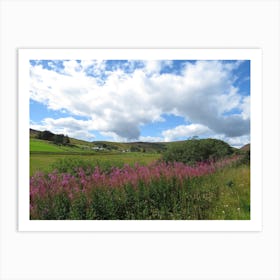 Scotland Landscape UK pink flowers Art Print