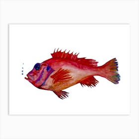 Red Fish Art Print