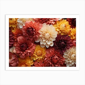 Dahlias 14 Art Print