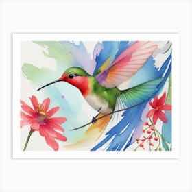 Colorful Hummingbird Art Print