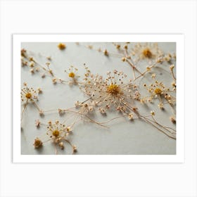 Dandelion Art Print