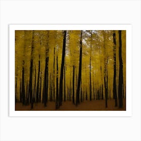 Yellow Trees In A Forest Art Print