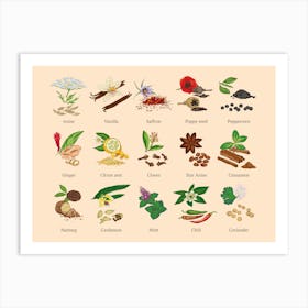 Spices & Herbs Art Print