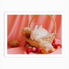 Easter Bunny 16 Art Print