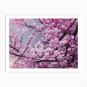 Cherry Blossoms 31 Art Print