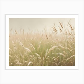 A Close Up Shot Of A Field Of Tall, Golden Grass With A Soft, Ethereal Glow Art Print