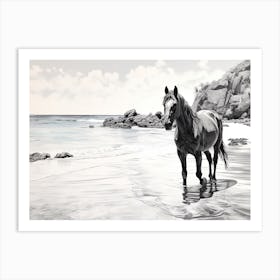 A Horse Oil Painting In Anse Lazio, Seychelles, Landscape 3 Art Print