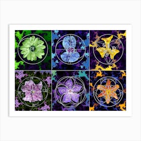 Fibonacci Spiral Fractal Flowers Poster