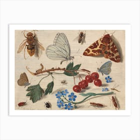 Butterflies, Moths And Insects With Sprays Of Common Hawthorn And Forget Me Not, Jan Van Kessel The Elder Art Print