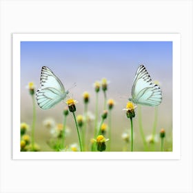 Butterfly On A Flower 12 Art Print