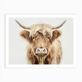 Highland Cow 3 Art Print