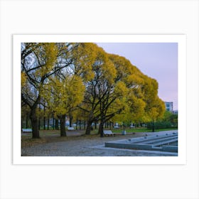 Autumn Trees In The Park Art Print