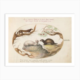 Animalia Qvadrvpedia Et Reptilia, Joris Hoefnagel 2 Art Print