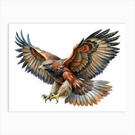 Golden Eagle Flying With Spread Wings Art Print