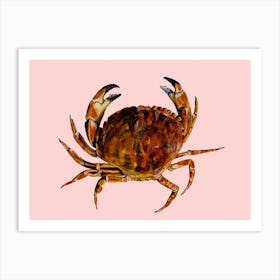 Crab On Pink Art Print
