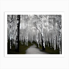 Path In The Woods 17 Art Print