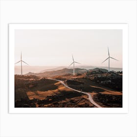 Windmill Field In California Art Print