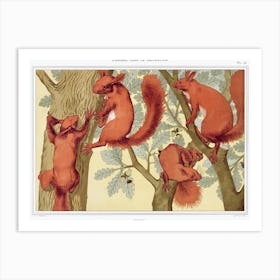 Squirrels From The Animal In The Decoration (1897), Maurice Pillard Verneuil Art Print