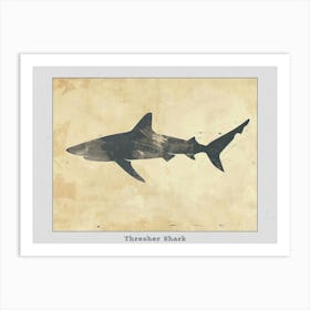 Thresher Shark Silhouette 6 Poster Art Print