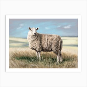 A sheep Art Print