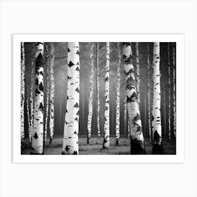 Birch Trees 60 Art Print