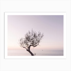 Lone Tree By The Sea While The Sun Goes Down Art Print