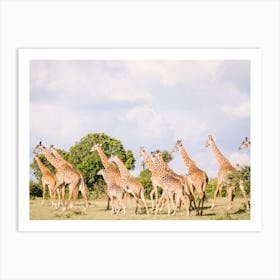 Kenya Giraffes Art Print