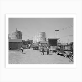 Untitled Photo, Possibly Related To Farmer Waiting In Line For Load Of Liquid Feed, Owensboro, Kentucky By Russell Art Print