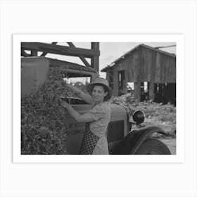 Wife Of Pea Farmer At Vinery Near Sun Prairie, Wisconsin By Russell Lee Art Print