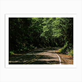 Winding Road Art Print