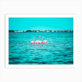 Pink Flamingos In Mexico Art Print