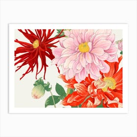 Dahlias 2 Art Print