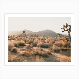 Warm Joshua Tree Desert Art Print