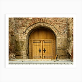 Wooden Door Art Print