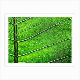 Leaf Texture 1 Art Print