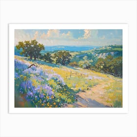 Western Landscapes Texas Hill Country 4 Art Print