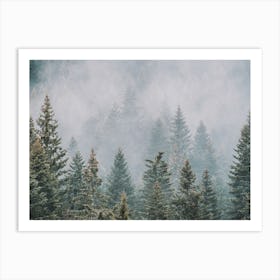 Pine Forest Scenery Art Print