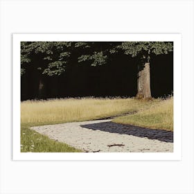 Path In A Field Art Print